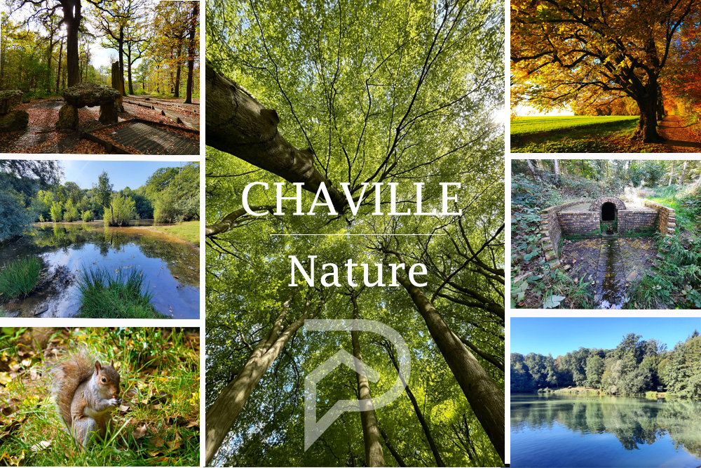 Chaville nature et forêt